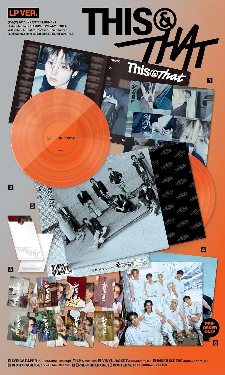 Stray Kids This & That [LP Ver.] 10th Mini Album