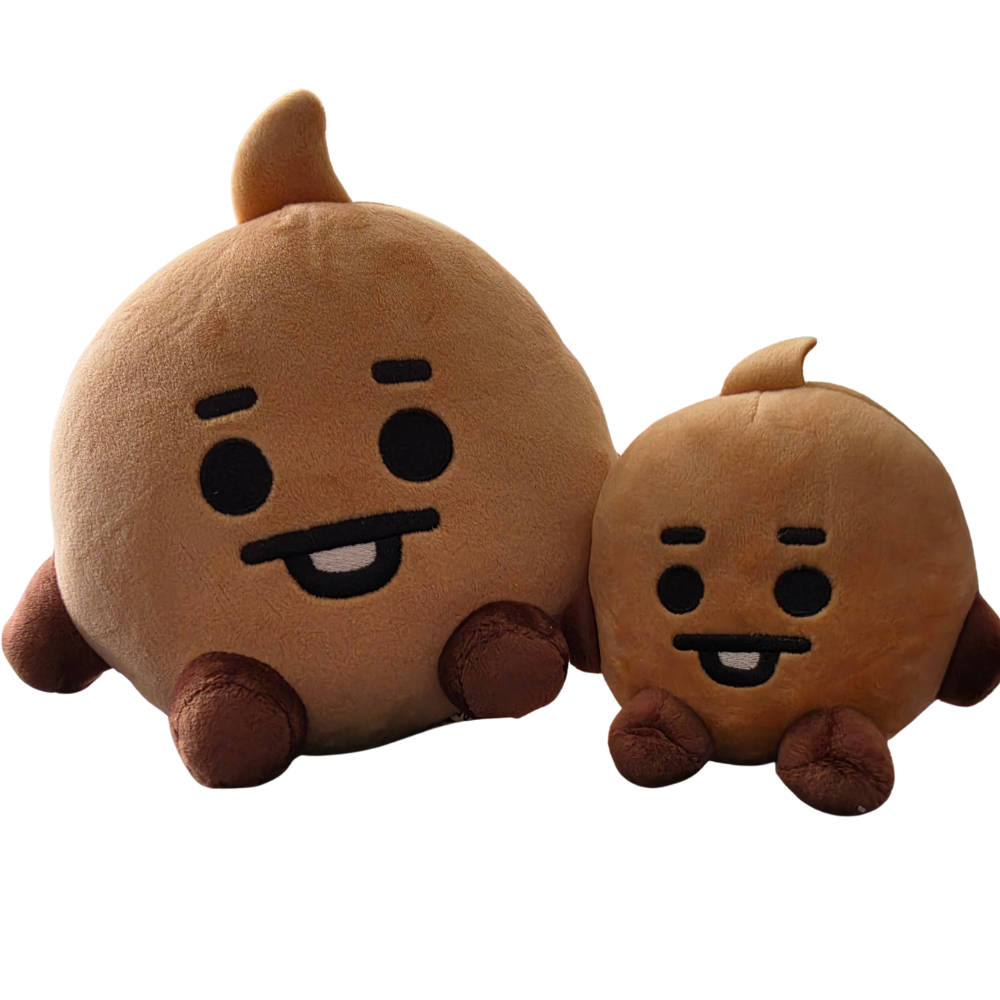 BT21 Medium and Small Plush Set + Photocard Freebies