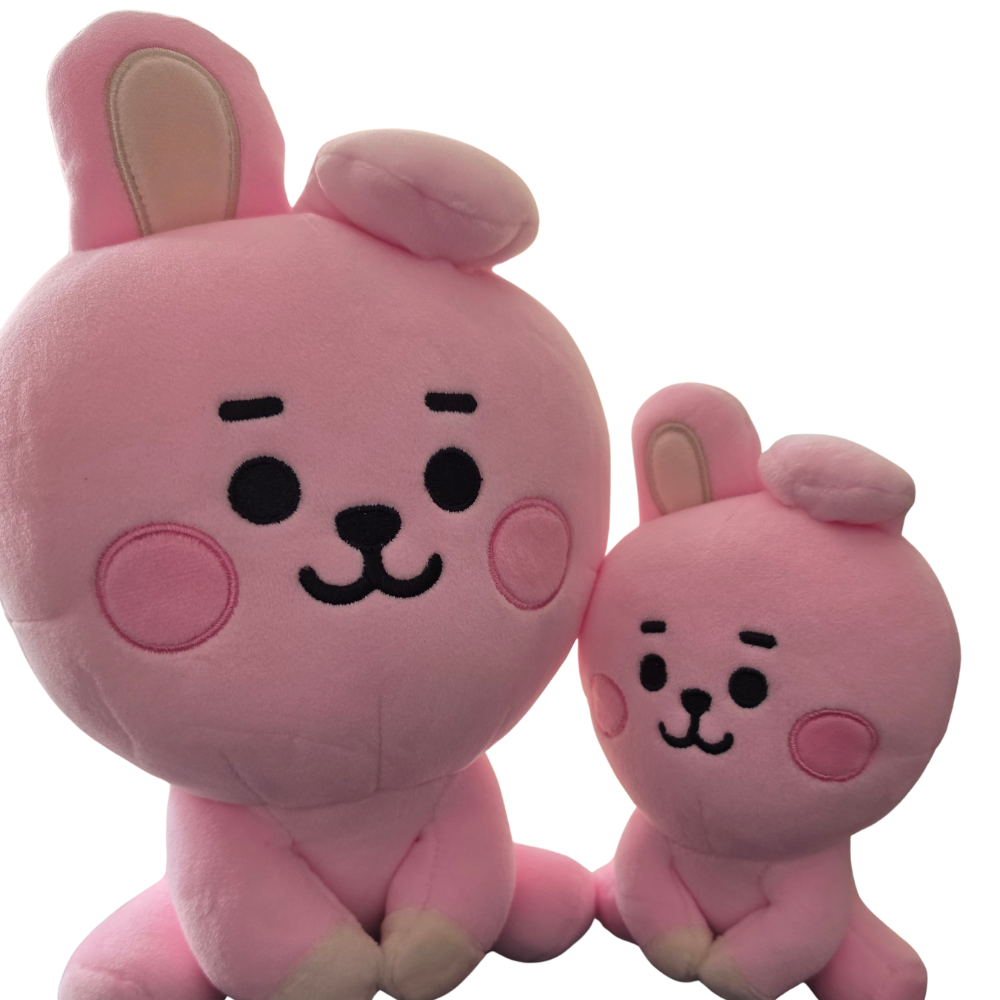 BT21 Medium and Small Plush Set + Photocard Freebies