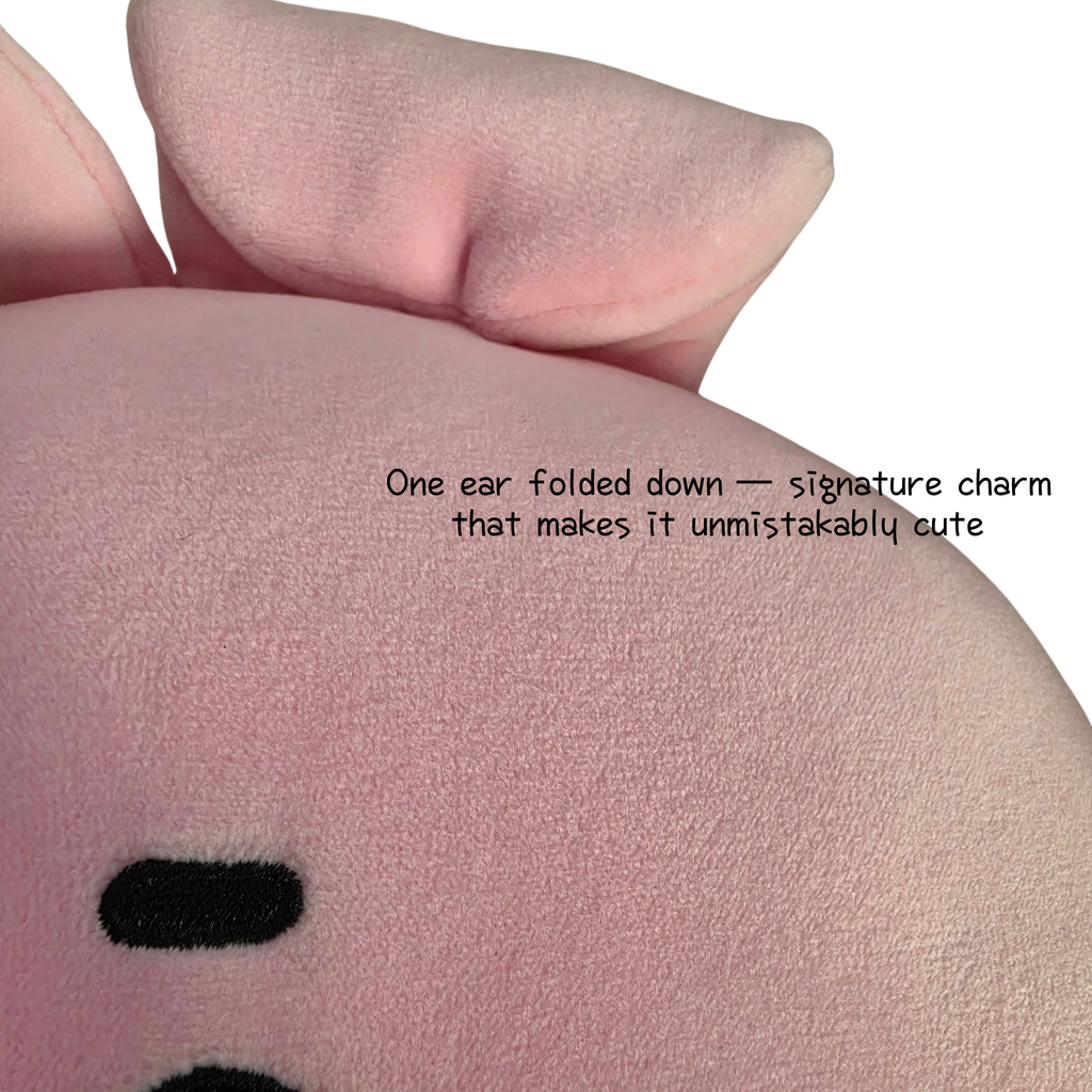 BT21 Cooky Mini Face Cushion + Sweetie Keyring + JK Photocard | K-pop Gift Bundle